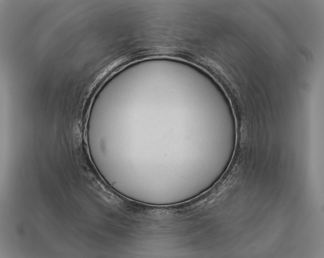 X0000112961212200909171251