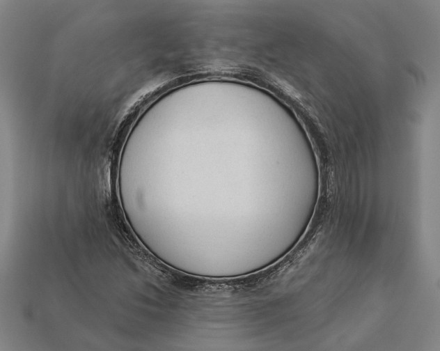 X0000112961214200909171251