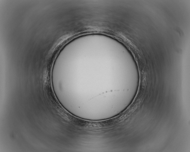 X0000112961215200909171251