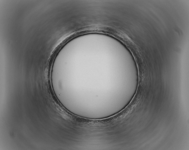 X0000112961216200909171251