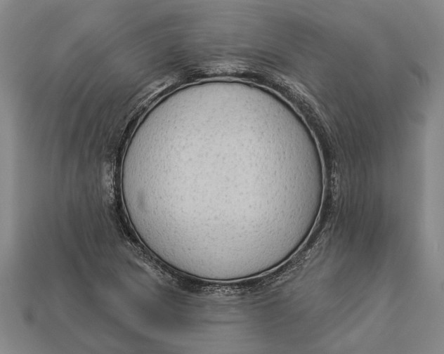 X0000112961217200909171251