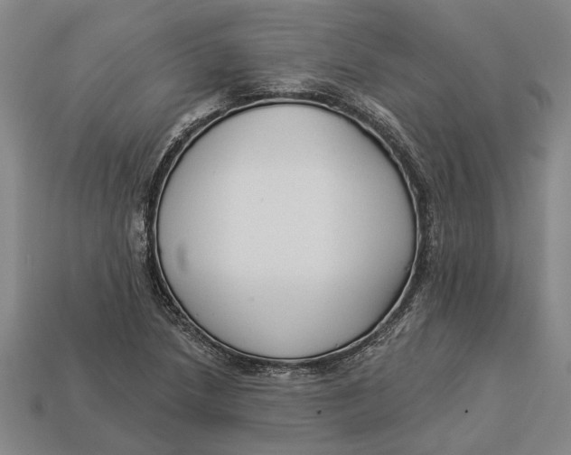 X0000112961218200909171251