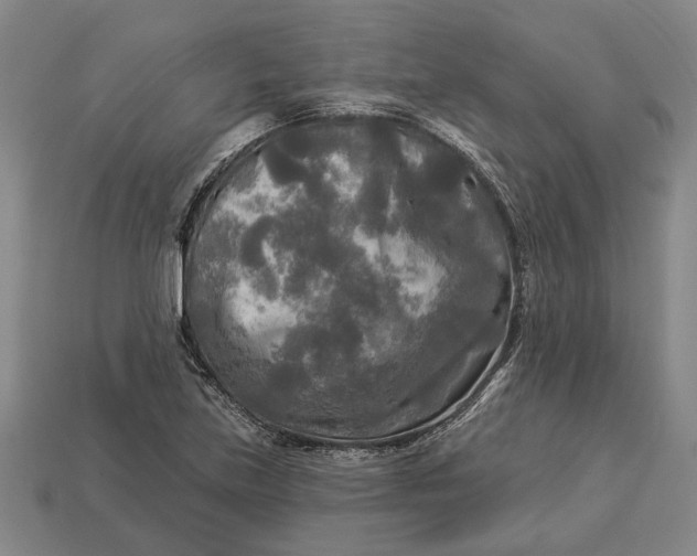 X0000112961219200909171251