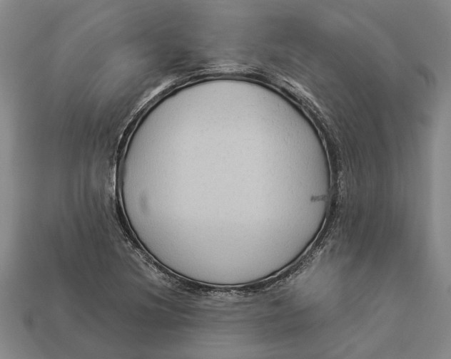 X0000112961220200909171251