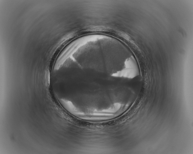 X0000112961221200909171251