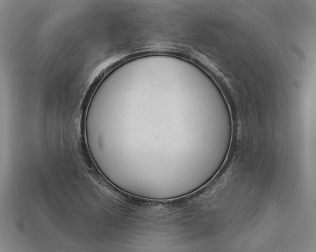 X0000112961222200909171251