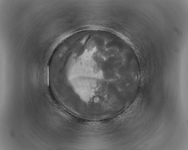 X0000112961223200909171251