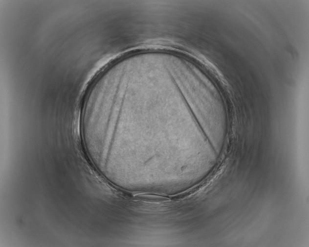 X0000112961224200909171251