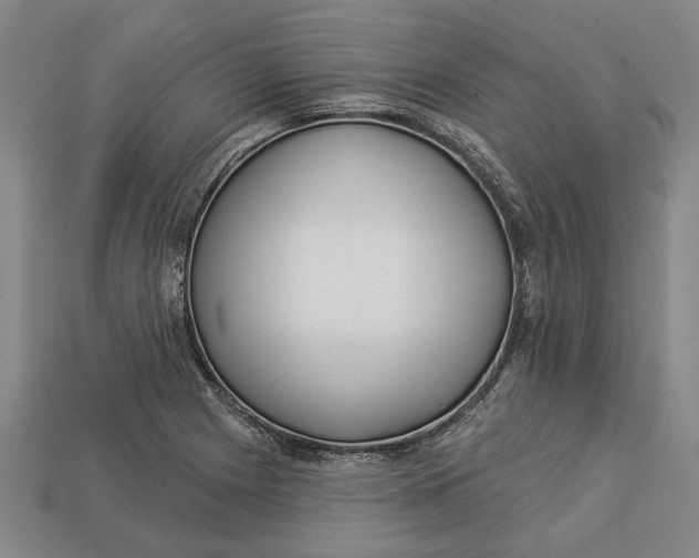 X0000112961225200909171251