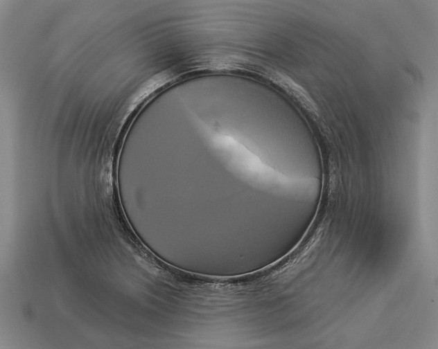 X0000112961226200909171251