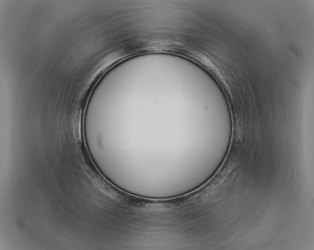 X0000112961227200909171251