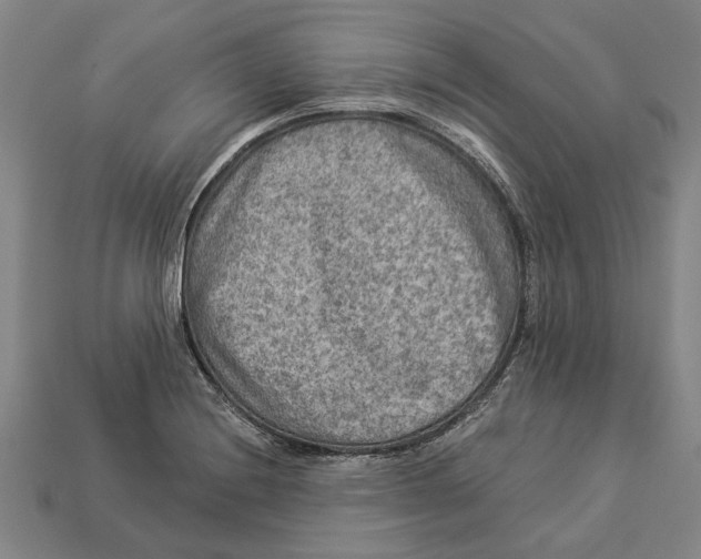 X0000112961228200909171251