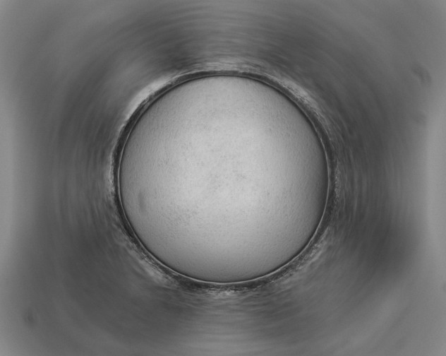 X0000112961230200909171251