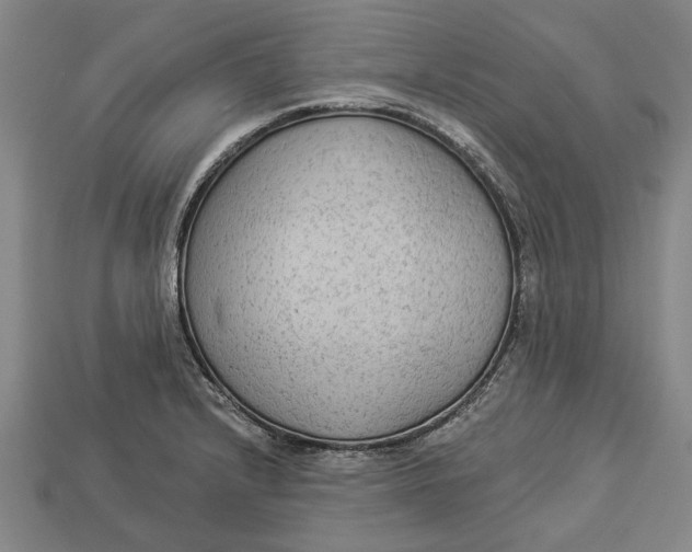 X0000112961232200909171251