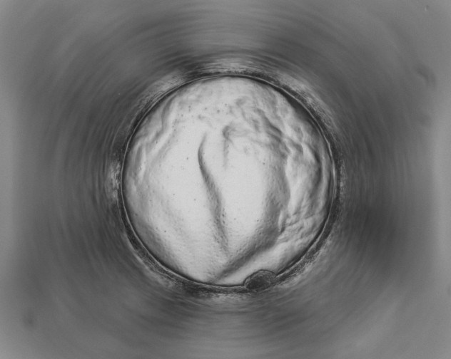 X0000112961233200909171251