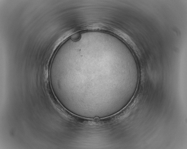 X0000112961234200909171251