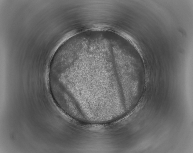 X0000112961235200909171251