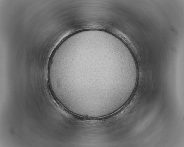 X0000112961236200909171251