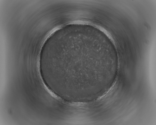 X0000112961237200909171251