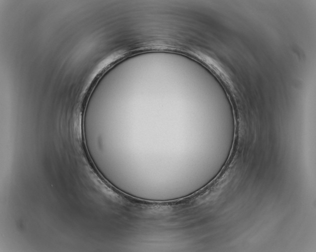 X0000112961238200909171251