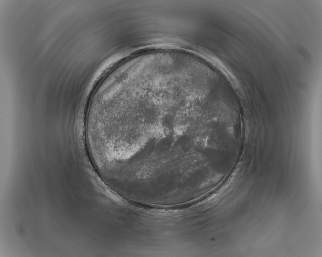 X0000112961240200909171251