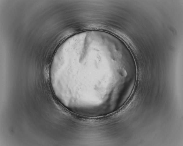 X0000112961241200909171251