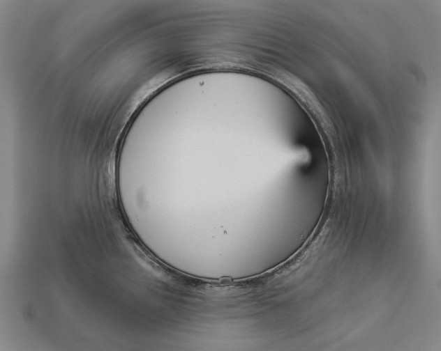 X0000112961242200909171251