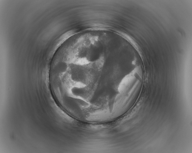 X0000112961243200909171251