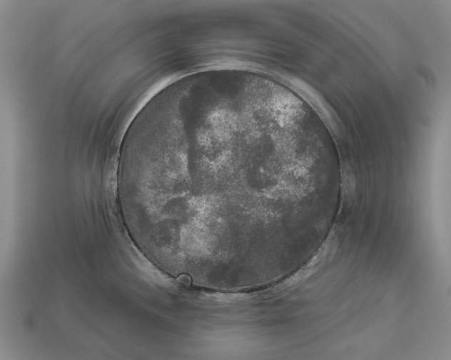 X0000112961244200909171251