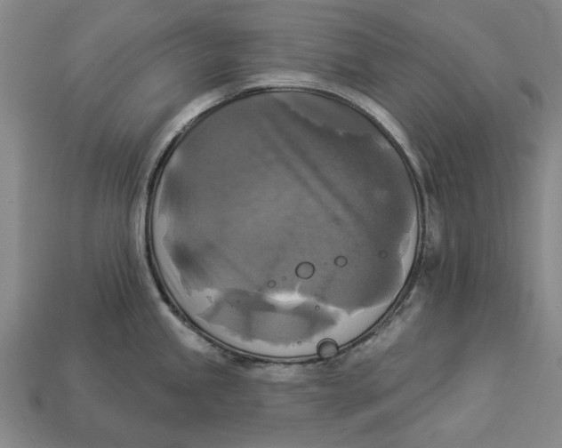 X0000112961245200909171251