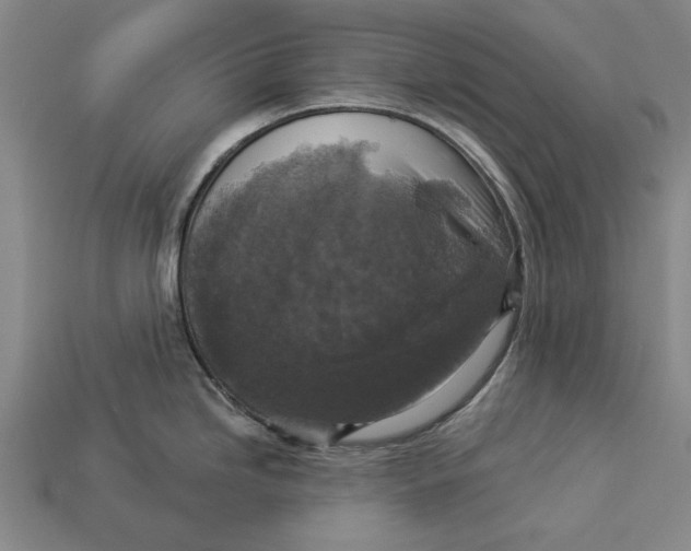 X0000112961246200909171251