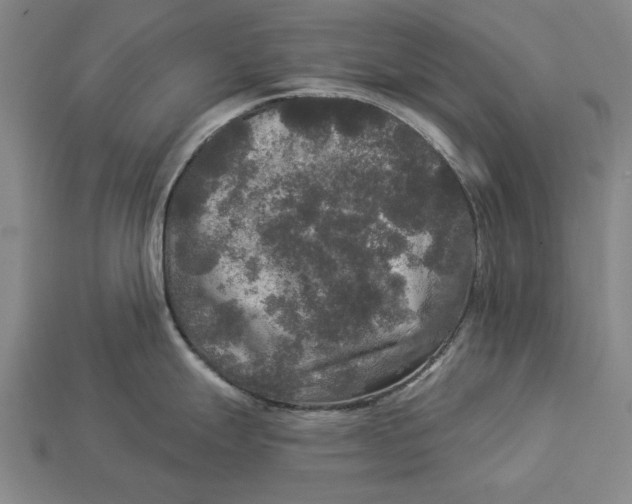 X0000112961247200909171251