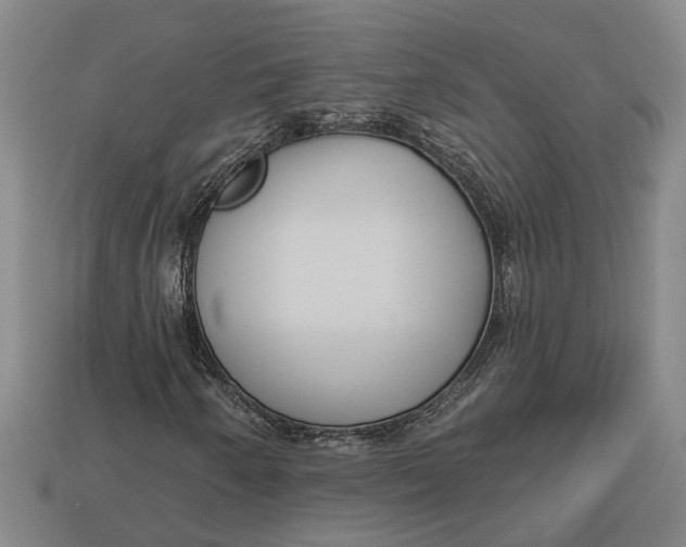 X0000112961250200909171250