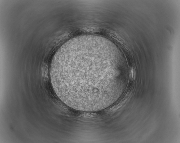 X0000112961251200909171250