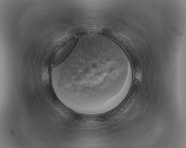 X0000112961252200909171250