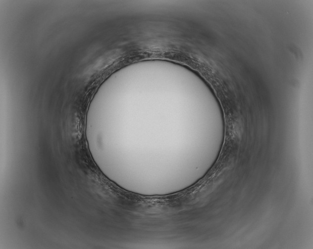 X0000112961253200909171250