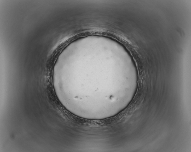 X0000112961255200909171250