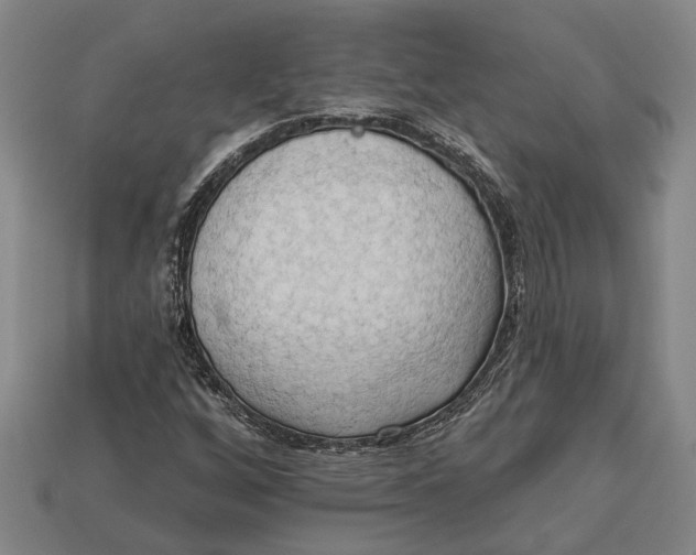 X0000112961256200909171250