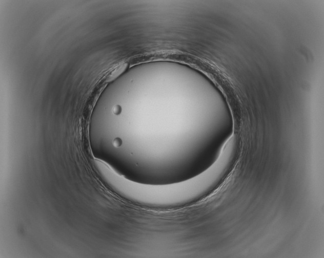 X0000112961257200909171250