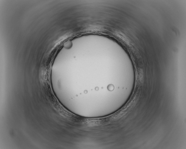 X0000112961258200909171250