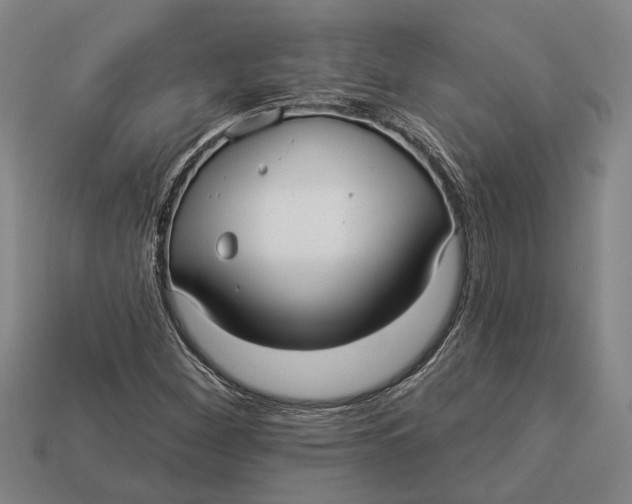 X0000112961260200909171250