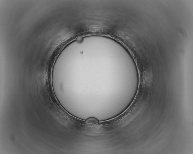 X0000112961261200909171250