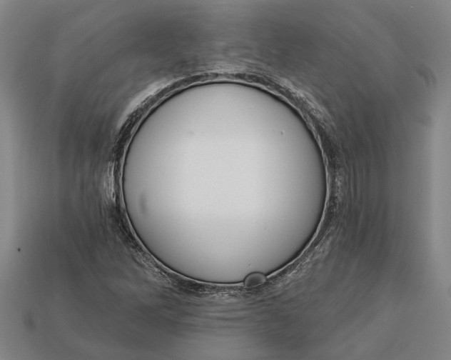 X0000112961262200909171250