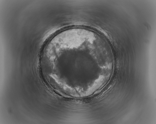 X0000112961263200909171250