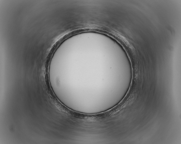 X0000112961264200909171250