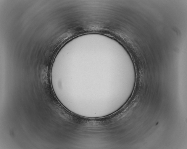 X0000112961265200909171250