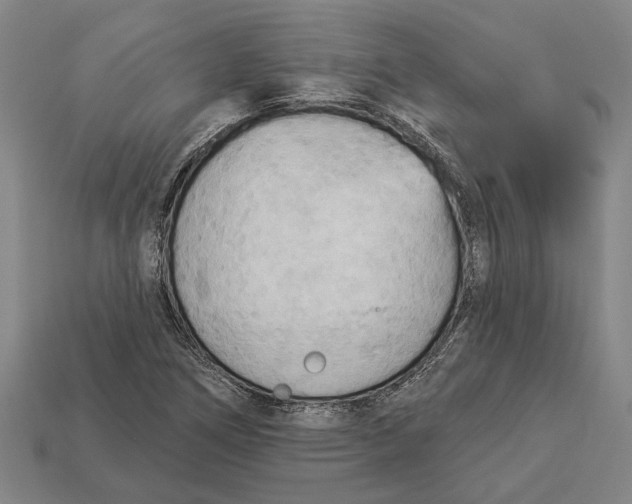 X0000112961266200909171250