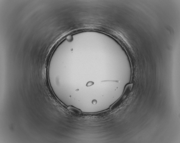 X0000112961268200909171250