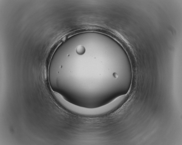 X0000112961269200909171250