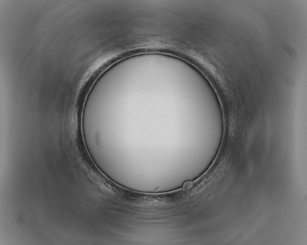 X0000112961270200909171250